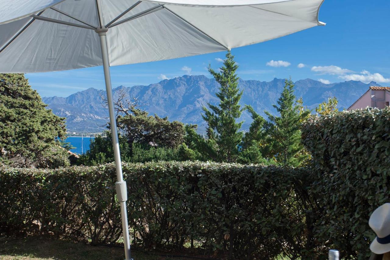 Apartment Mare Avec Jardin Et Bbq Vue Et Montagne Et Port A 2 Pas Calvi (Corsica)